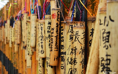 照片：「奇緣」BLOG