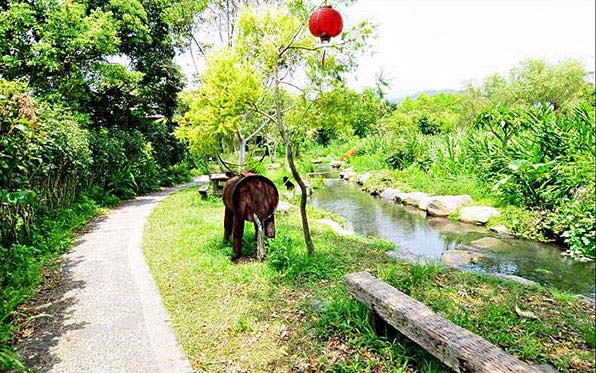 照片：「鄧涵榛」BLOG