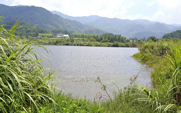 照片：「小玉兒」BLOG