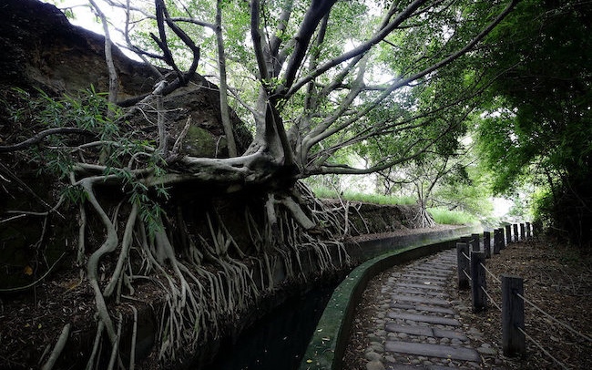 照片：「bluehawaii」BLOG