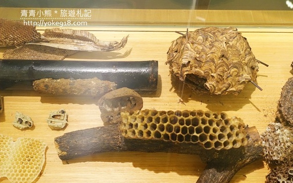 照片：「青青」BLOG