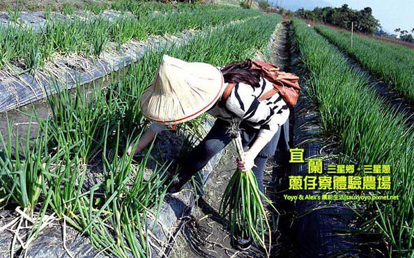 照片：「yoyo」BLOG