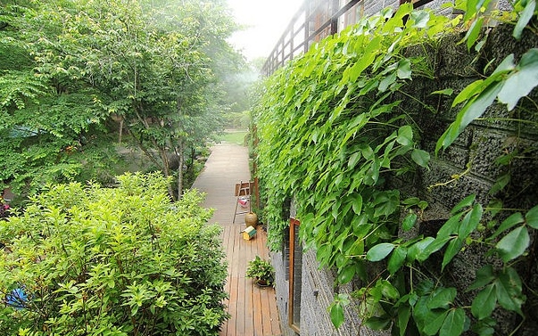 照片：「Darren」BLOG