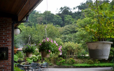 照片：「妮可」BLOG