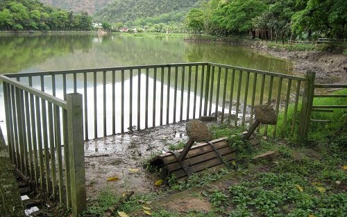 照片：「Teresa」BLOG