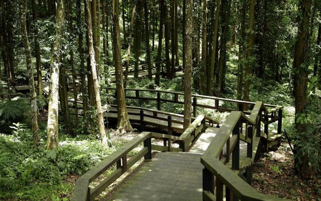 照片：「bluehawaii」BLOG