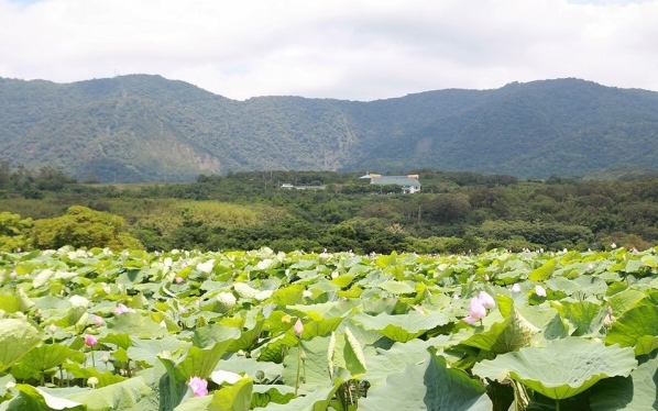 照片：「規小孫」BLOG