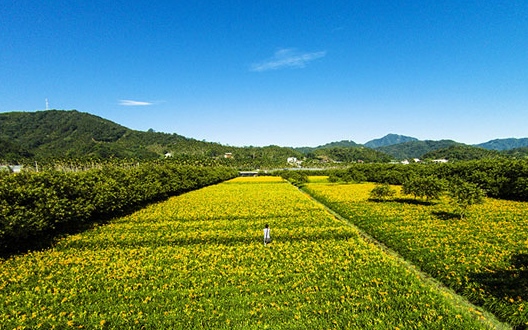照片：「TAO」BLOG