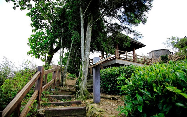照片：「bluehawaii」BLOG