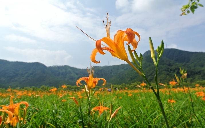 照片：「嘎眯」BLOG