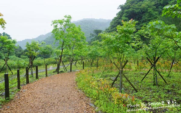 照片：「❤Stella史黛拉 ❤」BLOG