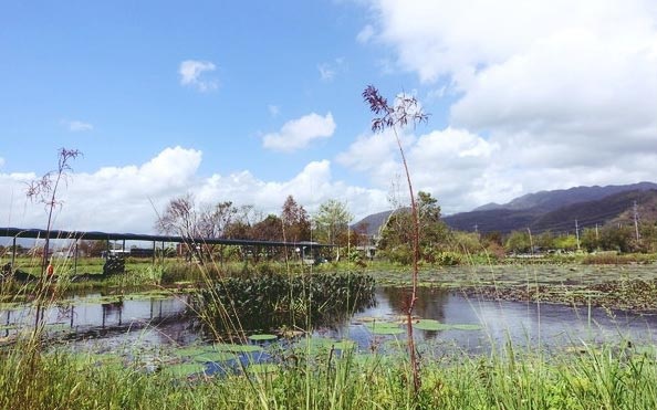 照片：「關關」BLOG