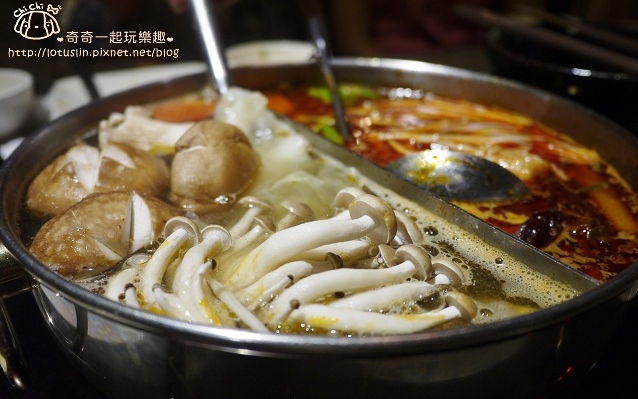 照片：「奇奇一起玩樂趣」BLOG
