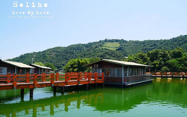照片：「莎莉哈小姐」BLOG