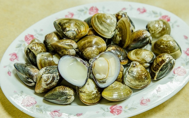 照片：「小虎」BLOG