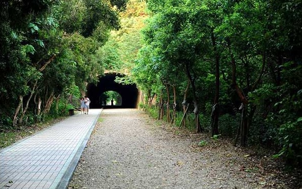 照片：「Brian」BLOG