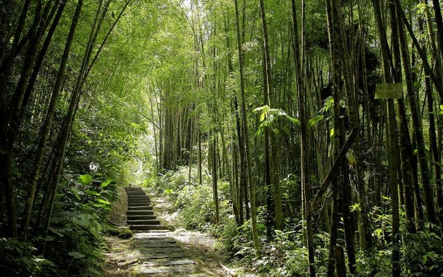 照片：「bluehawaii」BLOG