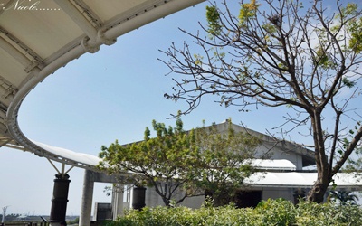 照片：「妮可」BLOG