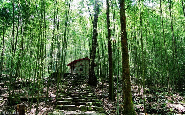 照片：「嘎眯」BLOG