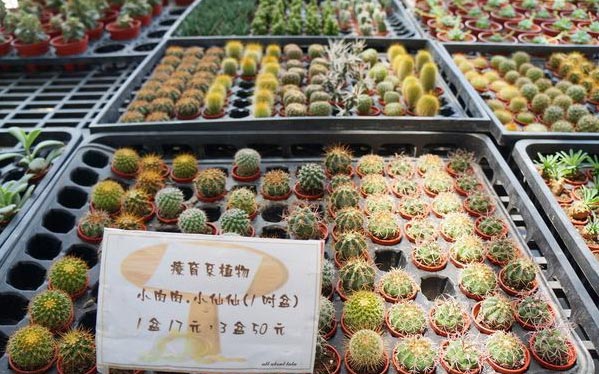 照片：「王拉拉」BLOG
