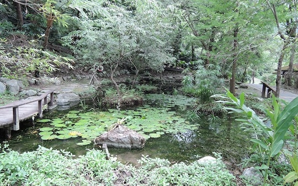 照片：「棋子」BLOG