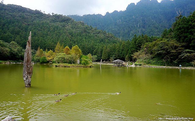 照片：「Tiss」BLOG