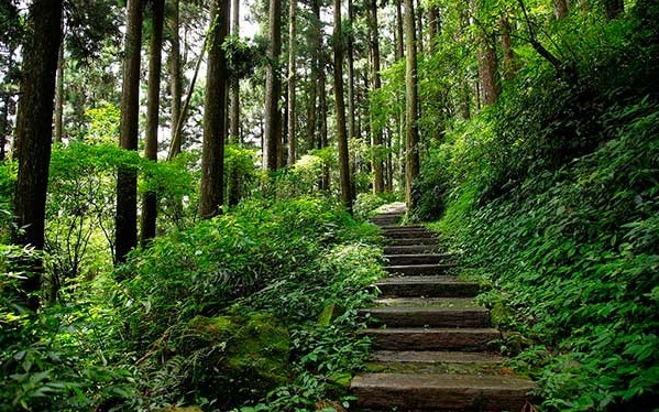 照片：「bluehawaii」BLOG