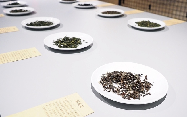 照片：「捲捲頭」BLOG