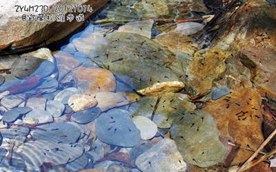 照片：「hhsshh」BLOG
