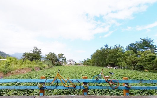 照片：「關關」BLOG