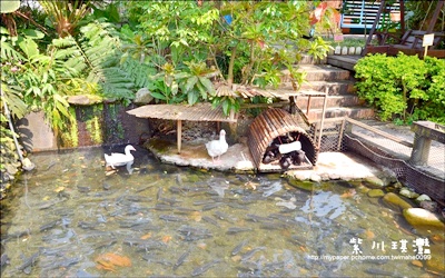 照片：「紫川琪灩」BLOG