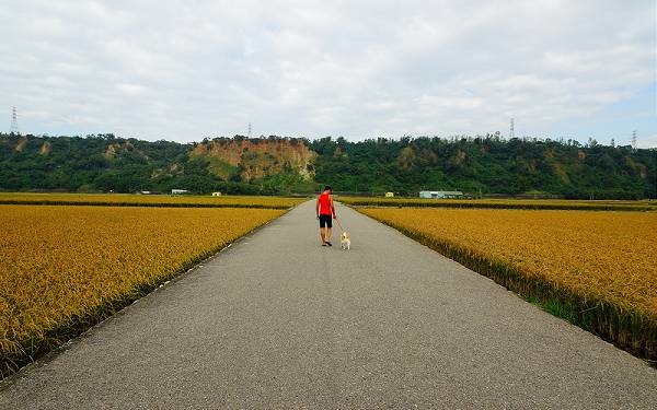 照片：「Leo」BLOG