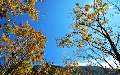 照片：「TAO」BLOG