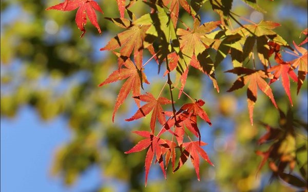 照片：「小潔」BLOG
