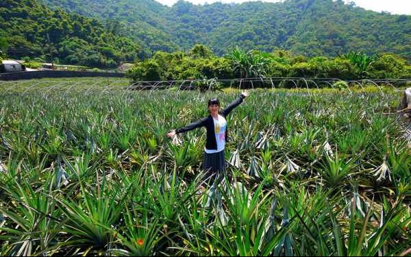 照片：「yoyo」BLOG