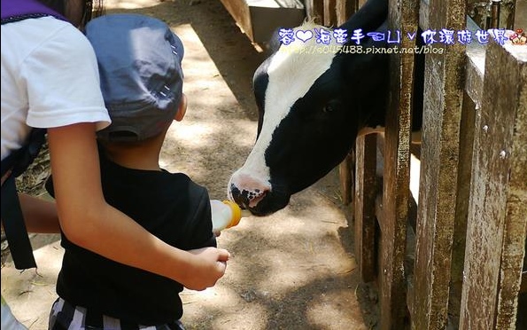 照片：「蓉蓉」BLOG