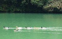 照片：「沛兒」BLOG