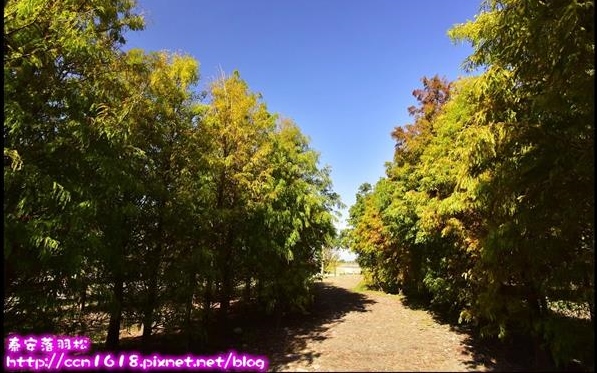 照片：「假日農夫」BLOG