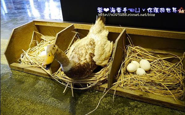 照片：「蓉蓉」BLOG