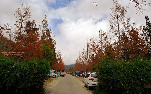 照片：「annielin」BLOG