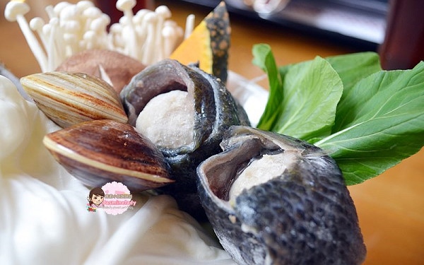 照片：「茉莉」BLOG