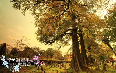 照片：「蓉蓉」BLOG
