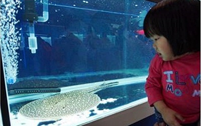 照片：「hhsshh」BLOG