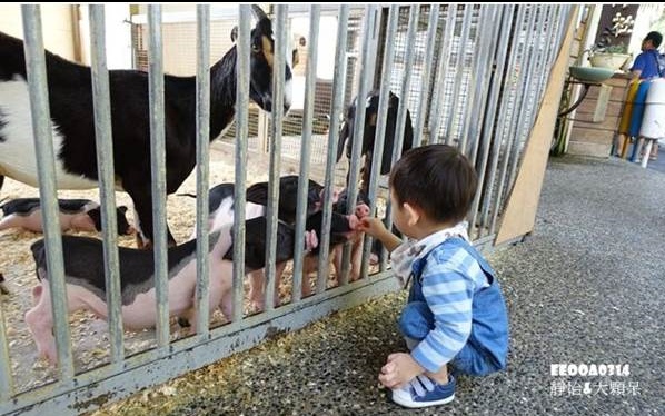 照片：「小靜怡」BLOG