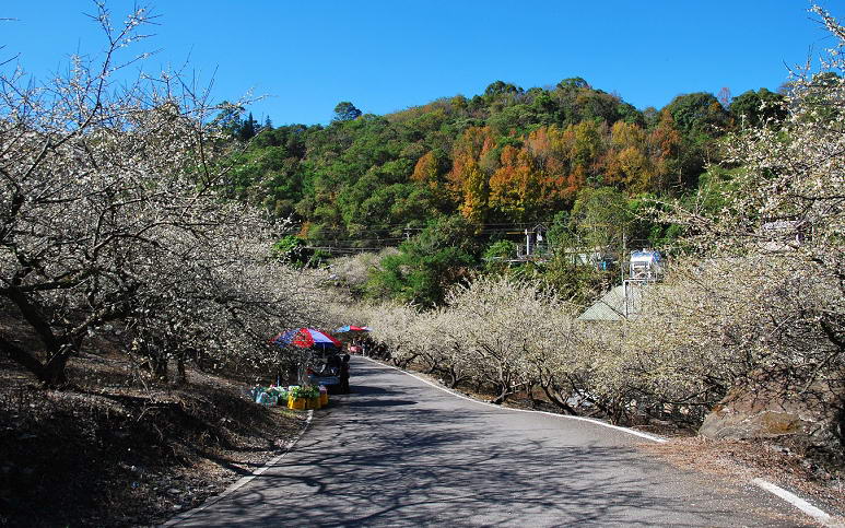 照片：「TAO」BLOG