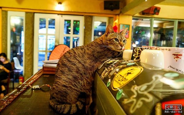 照片：「陳小可」BLOG