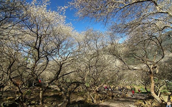 照片：「富嵃」BLOG