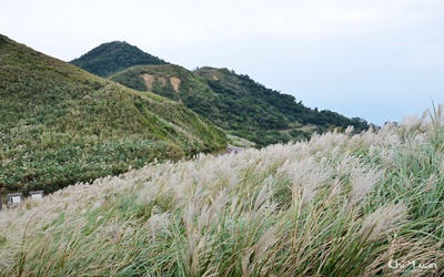 照片：「奇緣」BLOG