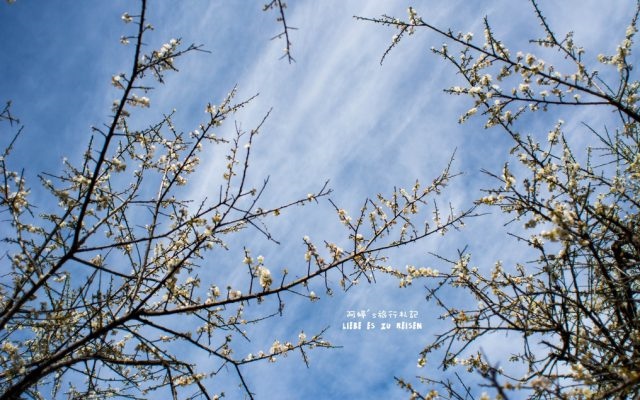 照片：「阿婷」BLOG