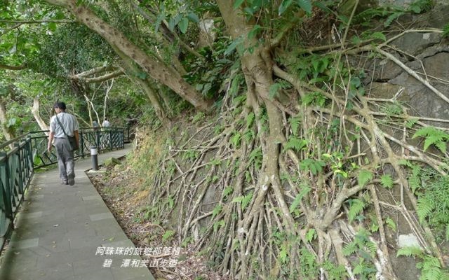 照片：「阿珠珠」BLOG